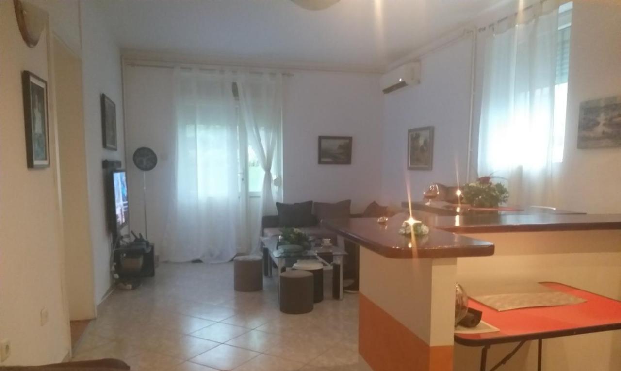 Apartman Nv Vrnjačka Banja Exterior foto