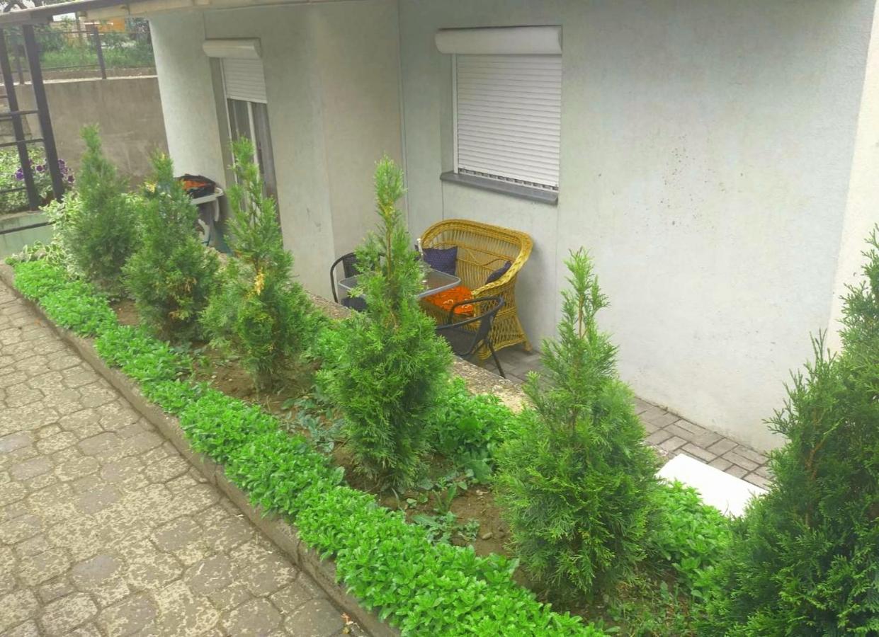 Apartman Nv Vrnjačka Banja Exterior foto